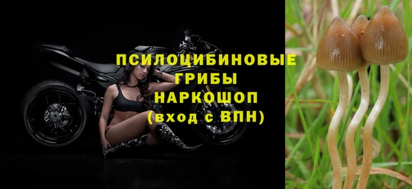 PSILOCYBIN Алексеевка