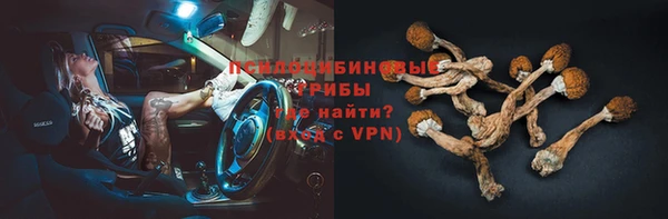 PSILOCYBIN Алексин