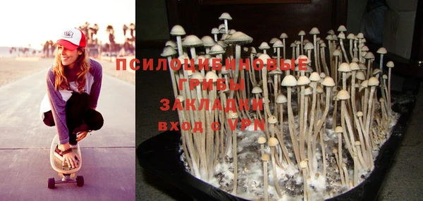 PSILOCYBIN Алексеевка