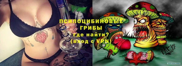 бошки Алзамай
