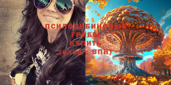 крисы Каменск-Шахтинский