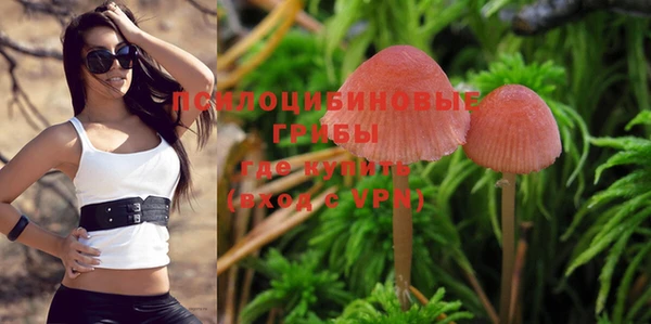 PSILOCYBIN Алексин
