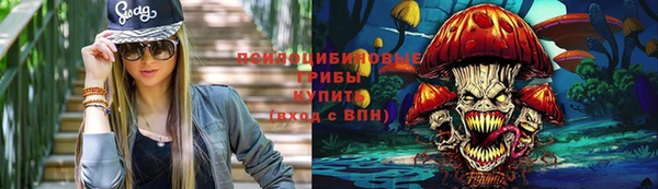 PSILOCYBIN Алексин